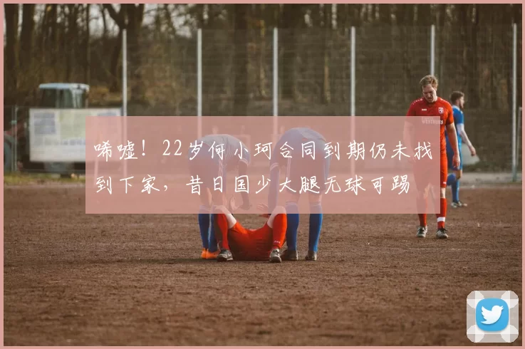 唏嘘！22岁何小珂合同到期仍未找到下家，昔日国少大腿无球可踢